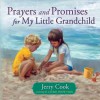 Prayers and Promises for My Little Grandchild - Jerry Cook, Laurie Snow Hein