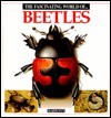 The Fascinating World of Beetles - Maria Angels Julivert, Parramon's Editorial Team Staff, Marcel Socias Studio Staff