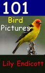 101 Bird Pictures - Lily Endicott