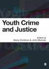 Youth Crime and Justice: Critical Issues - Barry Goldson