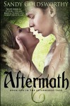 Aftermath (The Afterworld Saga) by Sandy Goldsworthy (2014-12-02) - Sandy Goldsworthy