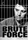 Brute Force (Criterion Collection, #383) - Michael Atkinson, Pete Martin