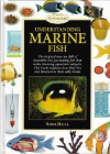 Understanding Marine Fish - Steve Halls