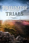 Triumph Through Trials: The Epistle of James - David R. Anderson