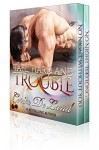 Tall, Hard and Trouble: 2 Scintillating Romantic Suspense Tales (Tall, Hard and Romantic Book 1) - Cerise DeLand