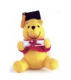 Graduation Pooh - Walt Disney Company, Dennis R. Shealy