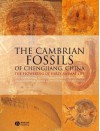 The Cambrian Fossils of Chengjiang, China: The Flowering of Early Animal Life - Xian-Guang Hou, Richard Aldridge, Jan Bergstrom, David Siveter