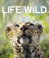 Life in the Wild - Thomas Marent