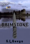 Brimstone (Book 1) - S. L. Gavyn