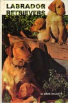 Labrador Retrievers - Diane McCarty