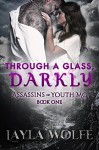 Through A Glass, Darkly (Assassins of Youth MC Book 1) - Layla Wolfe, Natasha Snow Designs