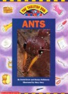 Ants: The Tabletop Zoo - David Drew, Martyn Robinson, Mary Davy