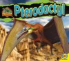 Pterodactyl - Aaron Carr