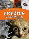 Amazing Creatures - Lynn Huggins-Cooper