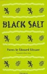 Black Salt: Poems - Édouard Glissant, Betsy Wing