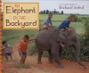 An Elephant in the Backyard - Richard Sobol
