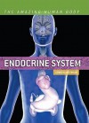 Endocrine System - Lorrie Klosterman