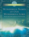 365 One-minute Meditations from the Wonderful Names of Our Wonderful Lord (One Minute Meditations) - T.C. Horton, Hurlburt & Horton