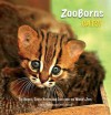 ZooBorns Cats! - Andrew Bleiman, Chris Eastland