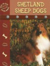 Shetland Sheepdogs - Lynn M. Stone