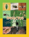 Insectos (Guided Reading G: Facil De Leer) (Spanish Edition) - Amy White