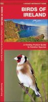 Birds of Ireland: A Folding Pocket Guide to Familiar Species - James Kavanagh