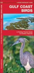 Gulf Coast Birds: A Folding Pocket Guide to Familiar Species - James Kavanagh