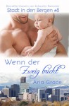 Wenn der Zweig bricht (Stadt in den Bergen 8) - Aria Grace