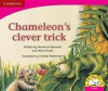 Chameleon's Clever Trick - Monika Hollemann, Helen Pooler, Ntombizine Kom, Madoda Matiwane