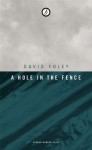 A Hole in the Fence - David Foley