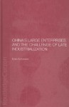 China's Large Enterprises and the Challenge of Late Industrialization - Dyla Sutherland, Sutherland Dyla