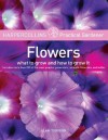 HarperCollins Practical Gardener: Flowers: What to Grow and How to Grow It - Alan Toogood, Alan Toogood