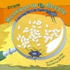 From Mealworm to Beetle: Following the Life Cycle - Laura Purdie Salas, Jeff Yesh