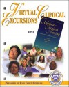 Virtual Clinical Excursions 1.0 for Medical-Surgical Nursing: Assessment and Management of Clinical Problems - Sharon Mantik Lewis, Ellen Sullins, Jay Tashiro