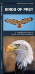 Birds of Prey: A Folding Pocket Guide to Familiar North American Species - James Kavanagh