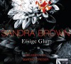 Eisige Glut - Sandra Brown, Martina Treger, Christoph Göhler