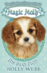 By Holly Webb Wish Puppy (Magic Molly) [Paperback] - Holly Webb