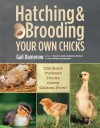 Hatching & Brooding Your Own Chicks: Chickens, Turkeys, Ducks, Geese, Guinea Fowl - Gail Damerow