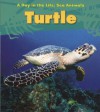 Turtle (A Day In The Life: Sea Animals) - Louise Spilsbury