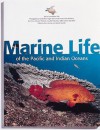 Marine Life of the Pacific and Indian Oceans - Gerald Allen