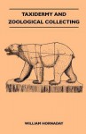 Taxidermy and Zoological Collecting - A Complete Handbook for the Amateur Taxidermist, Collector, Osteologist, Museum-Builder, Sportsman and Traveller - William Hornaday