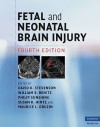 Fetal and Neonatal Brain Injury - David K. Stevenson, Maurice L. Druzin, Philip Sunshine, William E. Benitz, Susan R. Hintz