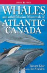 Whales and Other Marine Mammals of Atlantic Canada - Tamara Eder