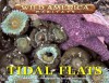 Tidal Flats (Wild America Habitats) - Melissa S. Cole