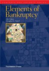 Baird's Elements of Bankruptcy, 5th (Concepts and Insights Series) - Douglas G. Baird