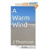 A Warm Wind - Jane Thomson