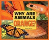 Why Are Animals Orange? - Melissa Stewart