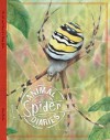 Spider: A Diary Written by Spider - Steve Parker