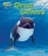 Orca Calves - Ruth Owen