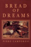 Bread of Dreams: Food and Fantasy in Early Modern Europe - Piero Camporesi, James Harvey Young, David Gentilcore